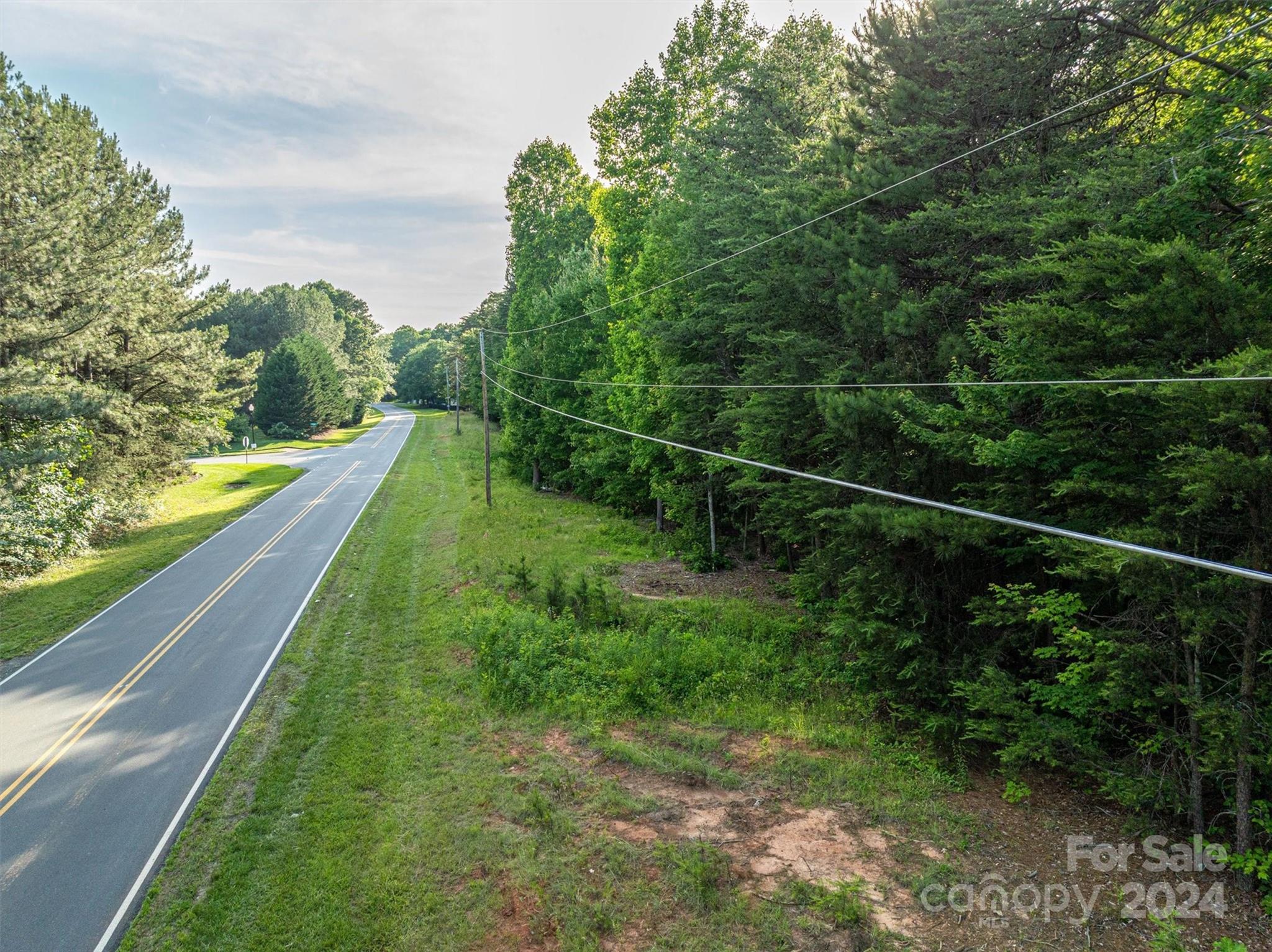 5117 Grassy Creek Road Denver, NC 28037 - Photo 10 of 12 a view of a yard with potted plants