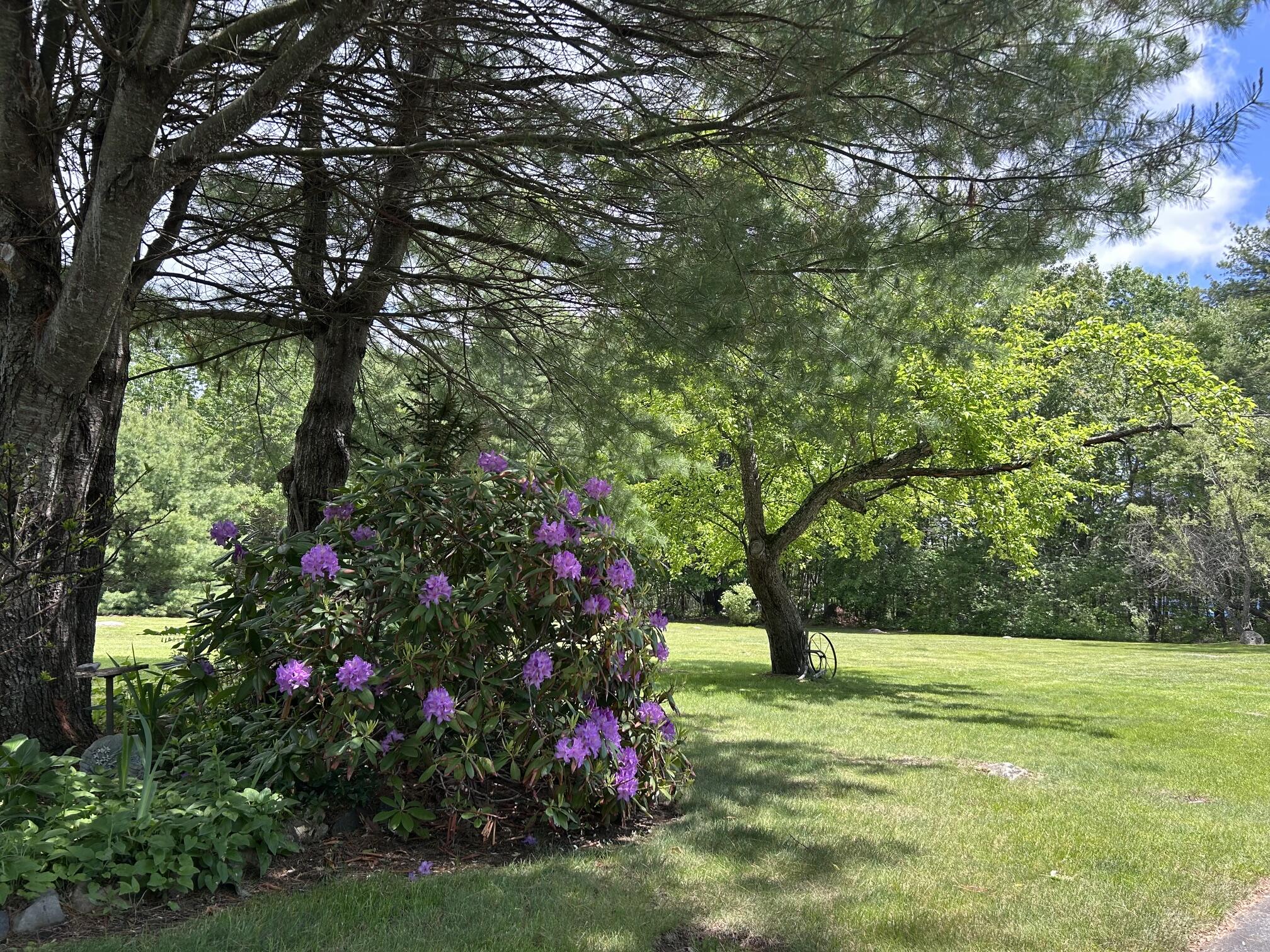 643 Burnt Mill Road Wells, ME 04090 - Photo 27 of 29 Yard4 - Copy