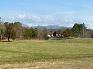 1 Athens Road Calhoun, TN 37309 - Photo 3 of 24 Gallery Image 3
