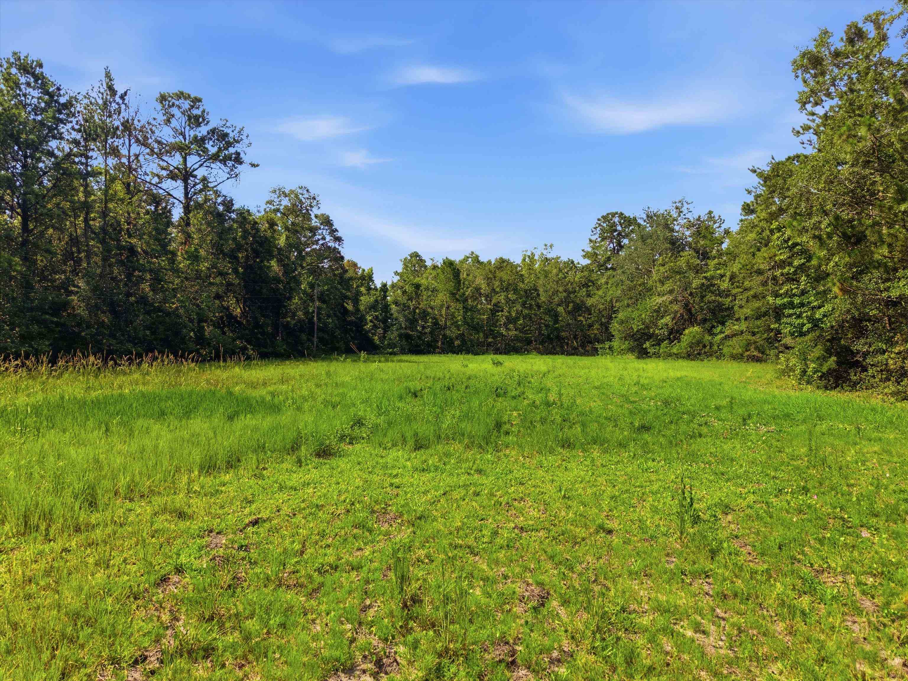 Xxx Neely Road Monticello, FL 32344 - Photo 4 of 37