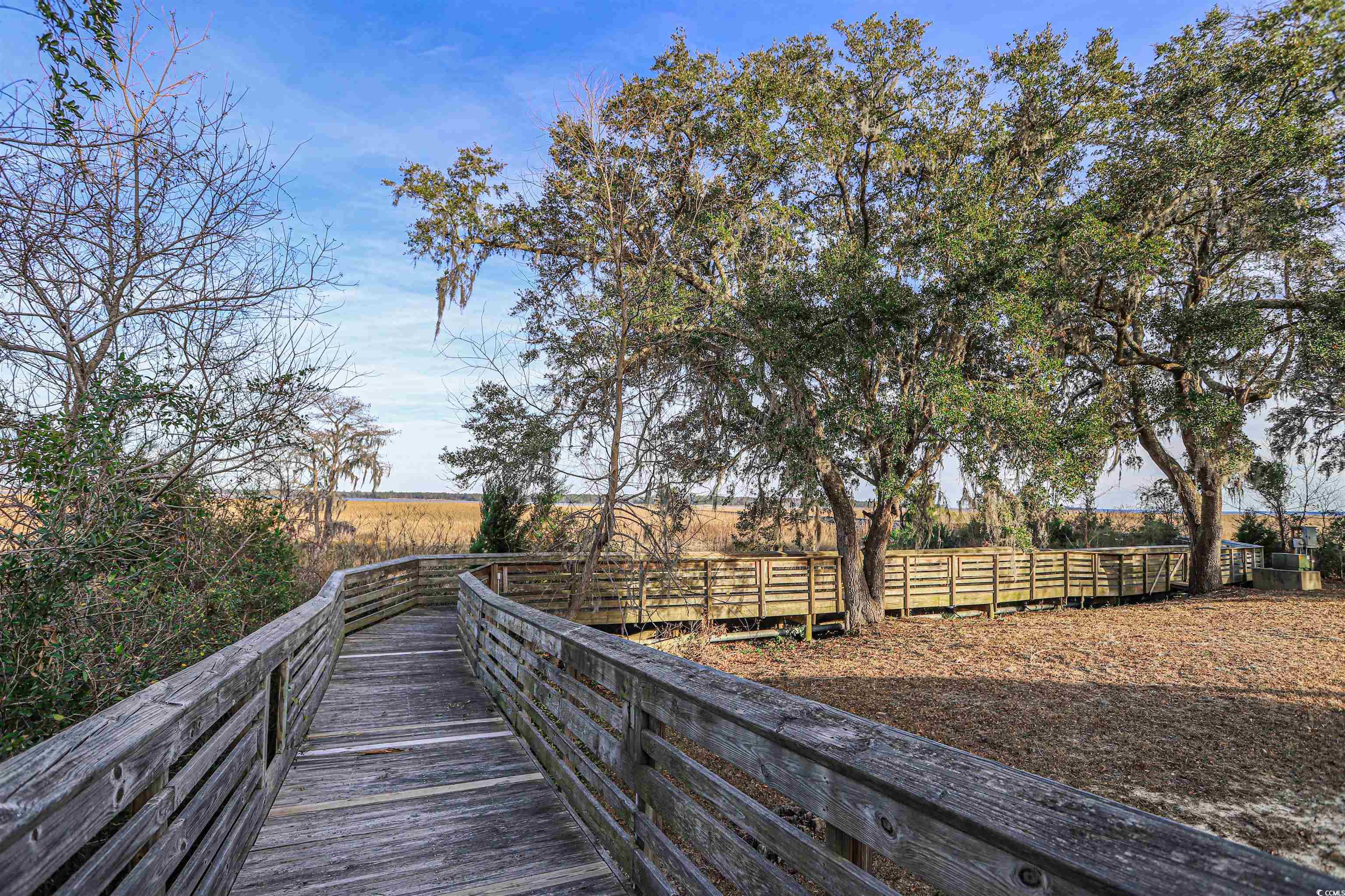 845 Commanders Island Road Georgetown, SC 29440 - Photo 31 of 39