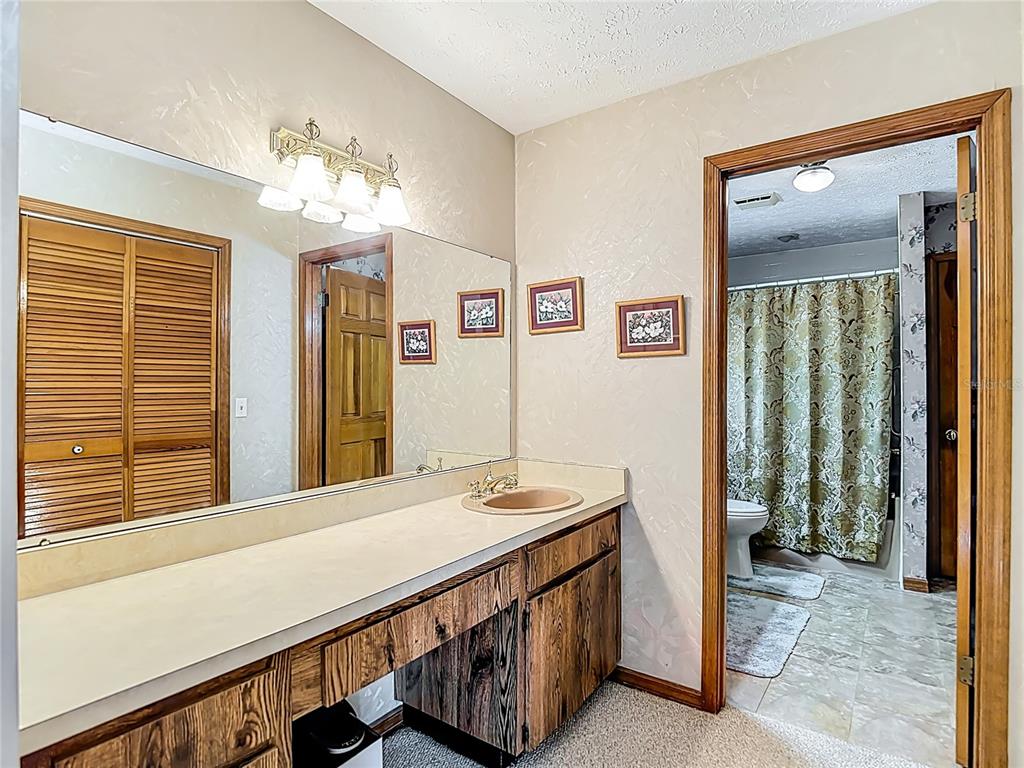 1004 Mook Street Brandon, FL 33510 - Photo 26 of 47