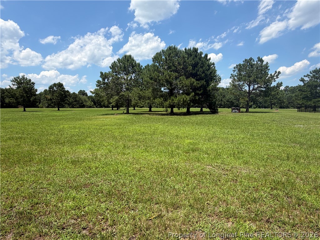 94 Old Tower Road Lumberton, NC 28360 - Photo 2 of 5 Gallery Image 2
