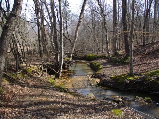 220 Bus Road Stoneville, NC 27048 - Photo 24 of 40 Gallery Image 24