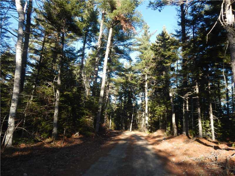 Lot 1 Route 182 Steuben, ME 04680 - Photo 3 of 8 Other. Access Road