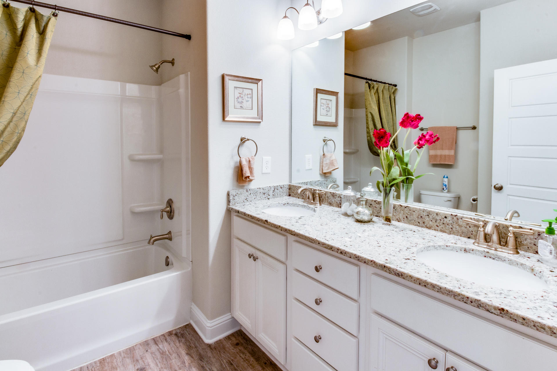 102 Bryant Road Santa Rosa Beach, FL 32459 - Photo 19 of 34 a bathroom with a granite countertop sink mirror and a bath tub