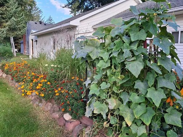 $299,000 | 201 Norman Avenue South, Foley, MN 56329