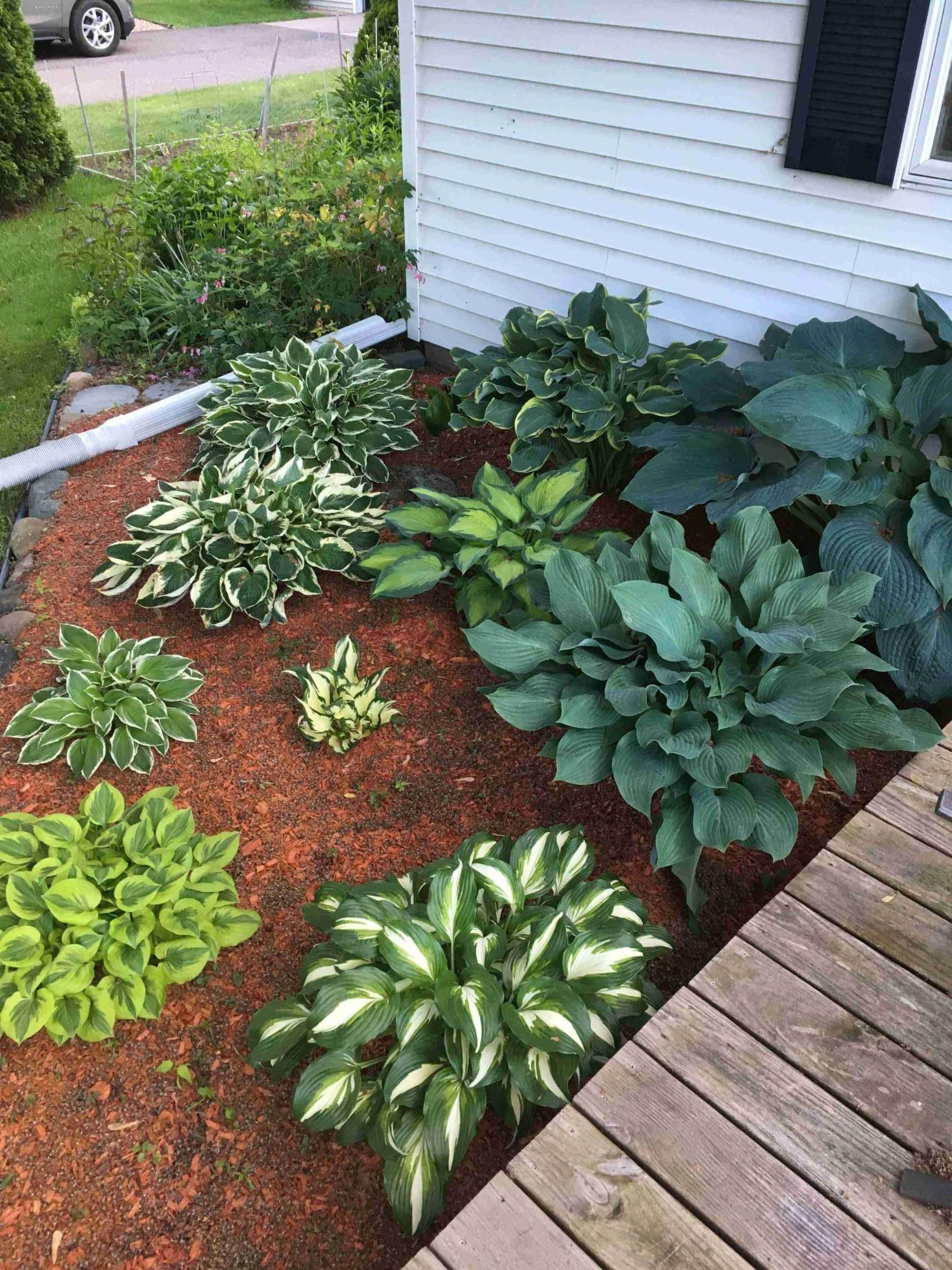 201 Norman Avenue South Foley, MN 56329 - Photo 30 of 36