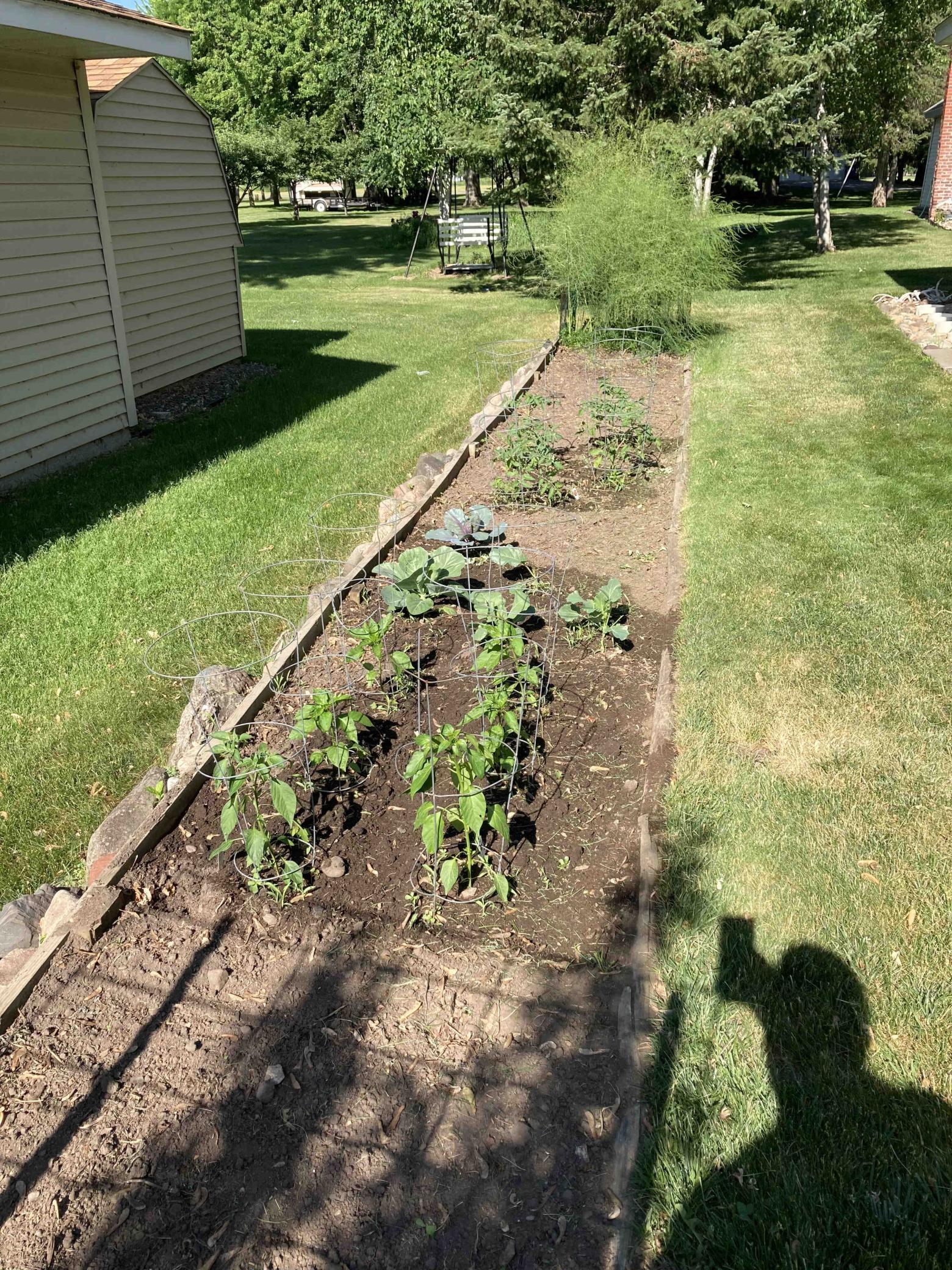 201 Norman Avenue South Foley, MN 56329 - Photo 32 of 36