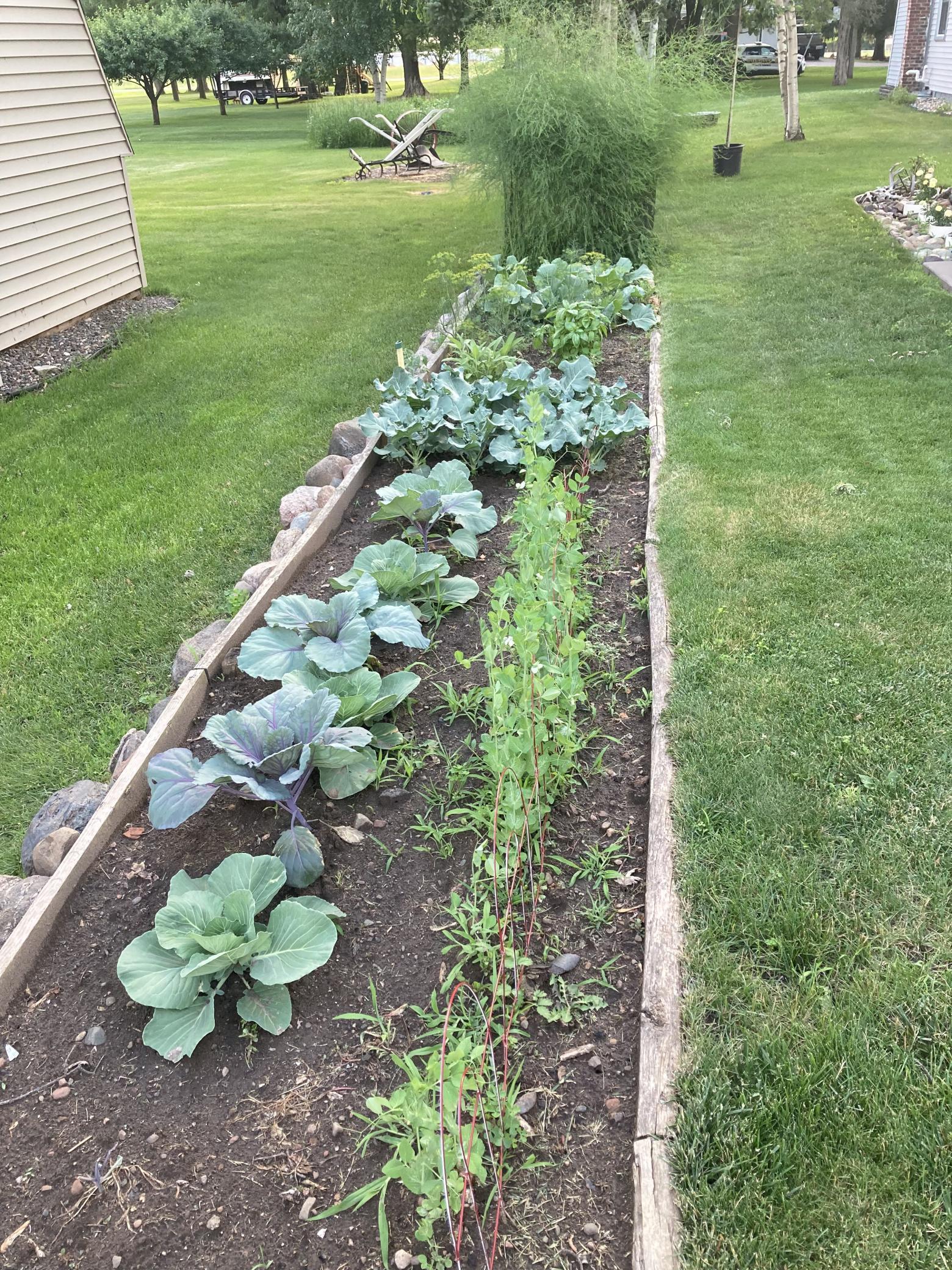 201 Norman Avenue South Foley, MN 56329 - Photo 33 of 36