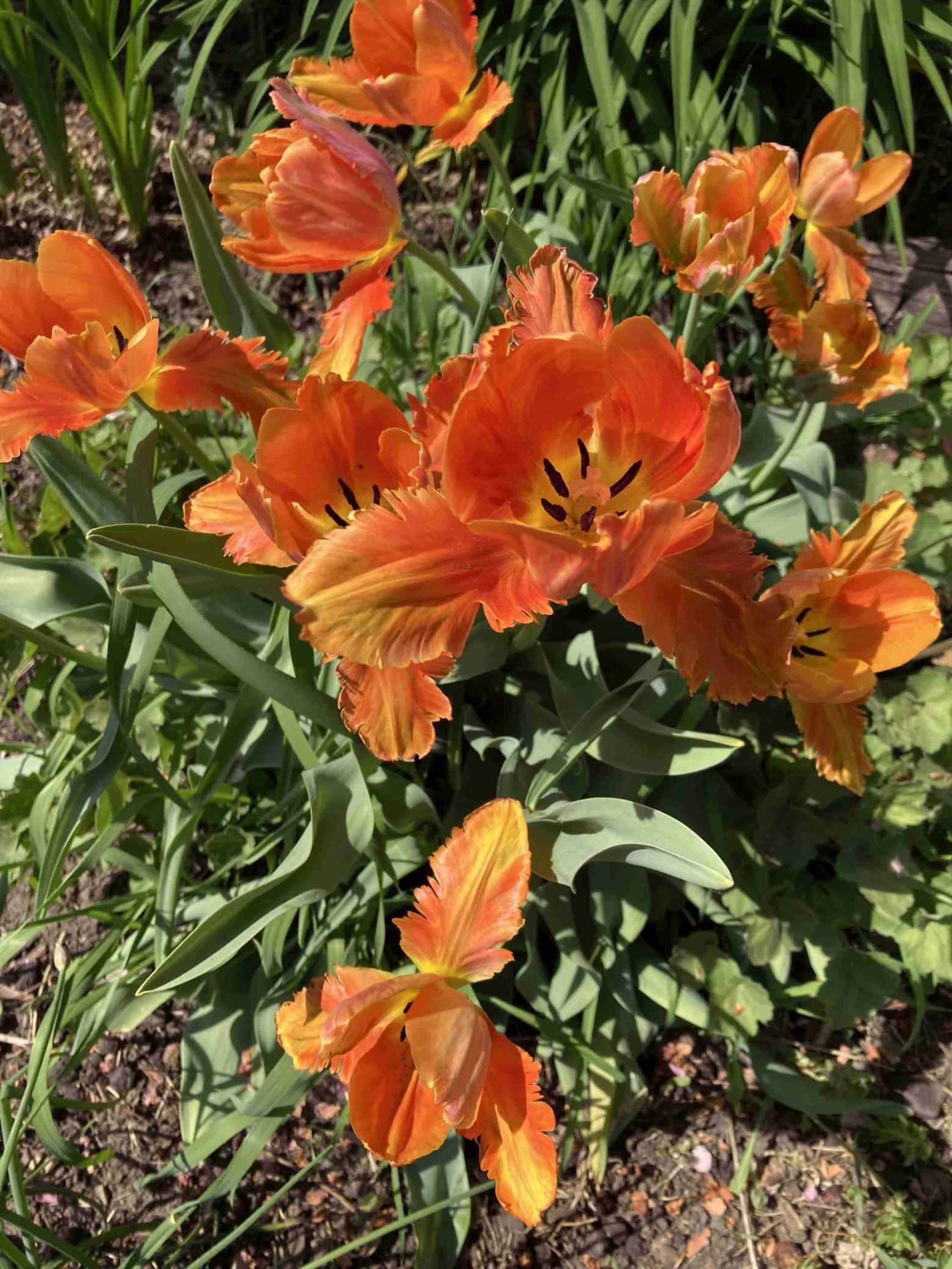 201 Norman Avenue South Foley, MN 56329 - Photo 34 of 36