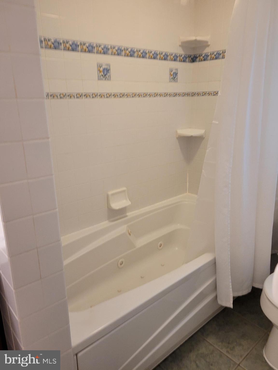 22820 Maple Road Lexington Park, MD 20653 - Photo 18 of 33 with whirlpool tub