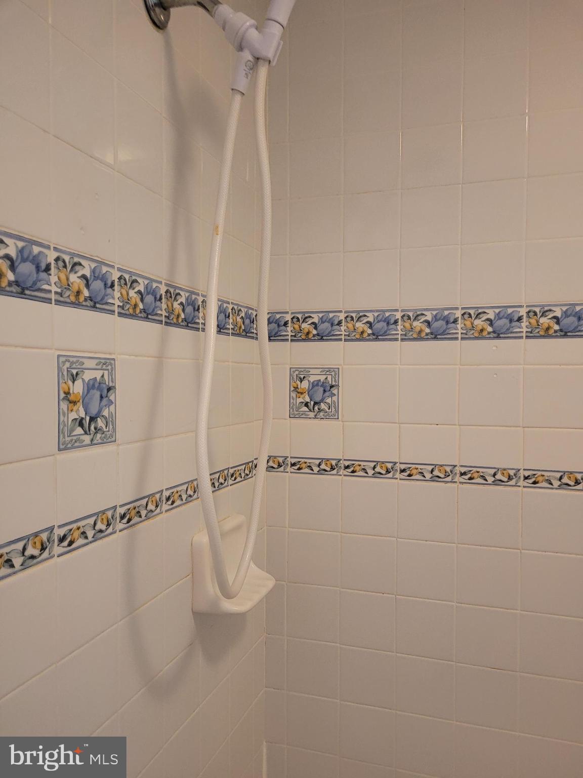 22820 Maple Road Lexington Park, MD 20653 - Photo 20 of 33 with beautiful tilework!