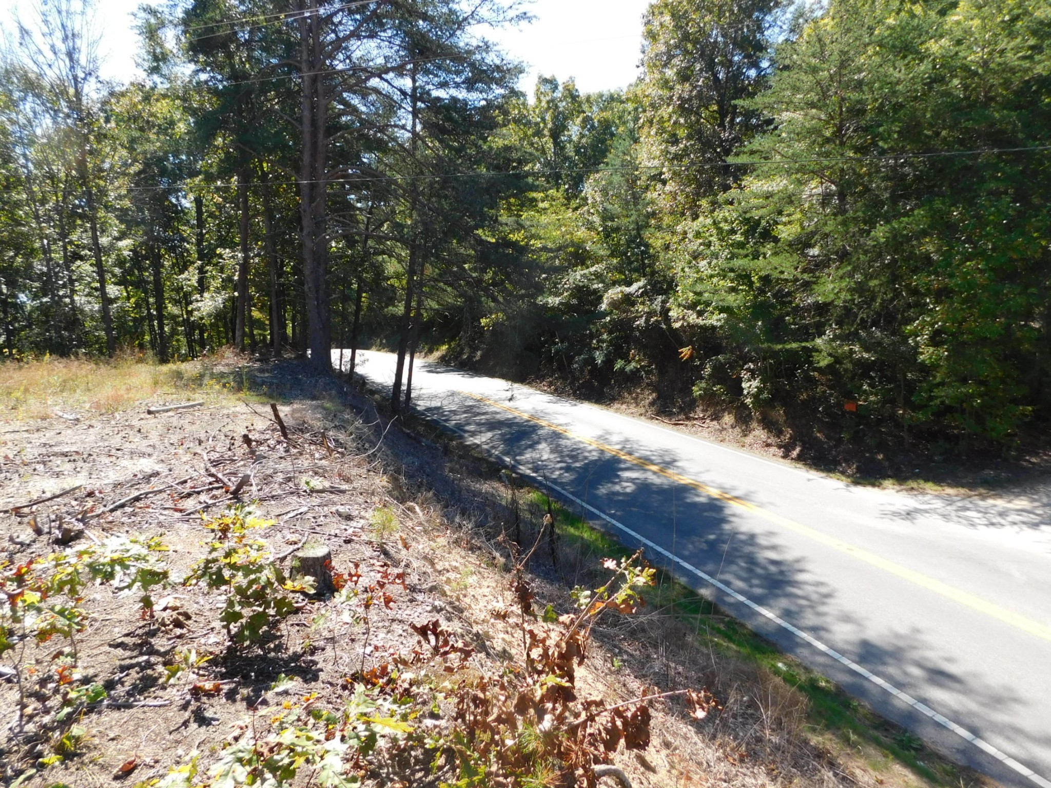 0 Lower River Road Northwest Georgetown, TN 37336 - Photo 2 of 17 a view of a yard with a tree