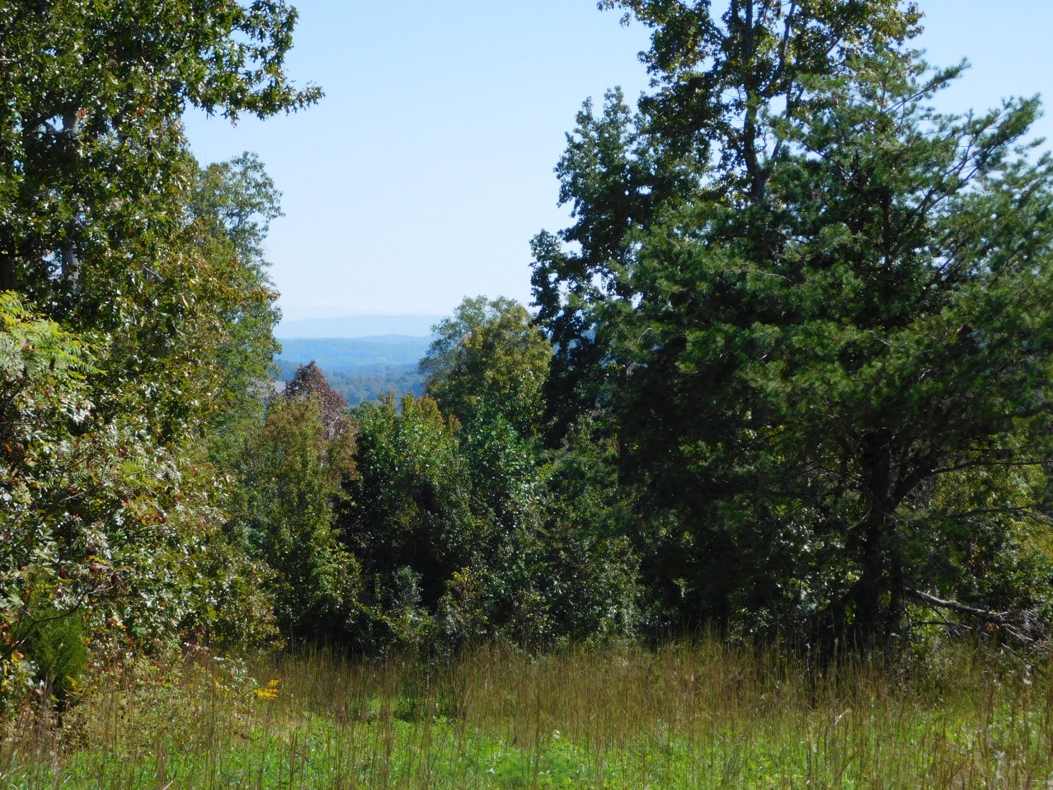 0 Lower River Road Northwest Georgetown, TN 37336 - Photo 5 of 17 a view of a lake view