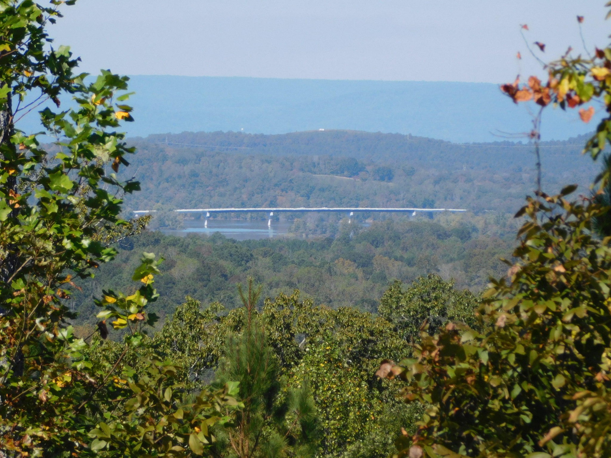 0 Lower River Road Northwest Georgetown, TN 37336 - Photo 7 of 17 a view of a garden