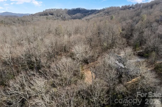 a view of a dry and covered with trees in the background