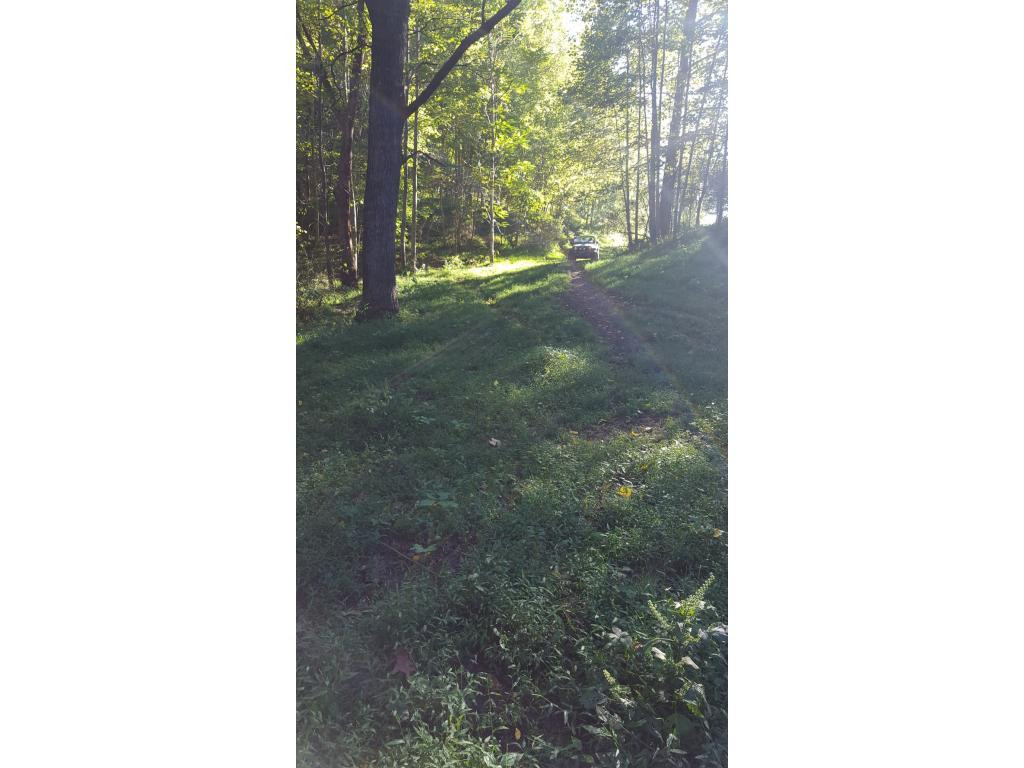 1 Warren Road Piney Flats, TN 37686 - Photo 28 of 35 Photo 28