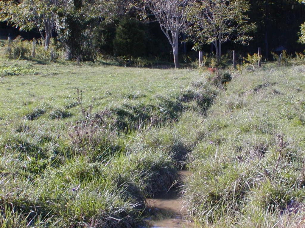 1 Warren Road Piney Flats, TN 37686 - Photo 8 of 35 Photo 8