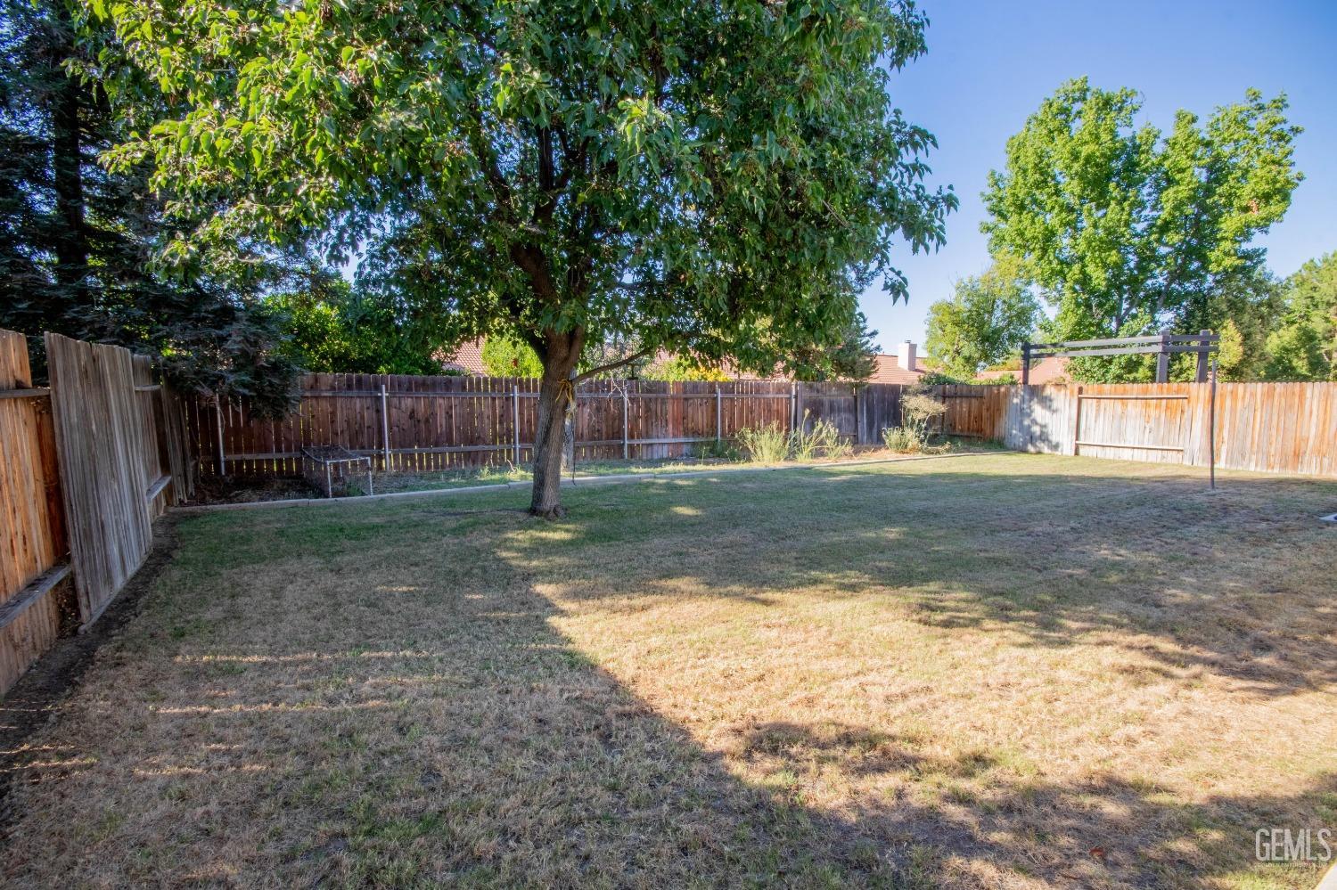 Undisclosed Address Bakersfield, CA 93312 - Photo 8 of 9 a view of a backyard with tree