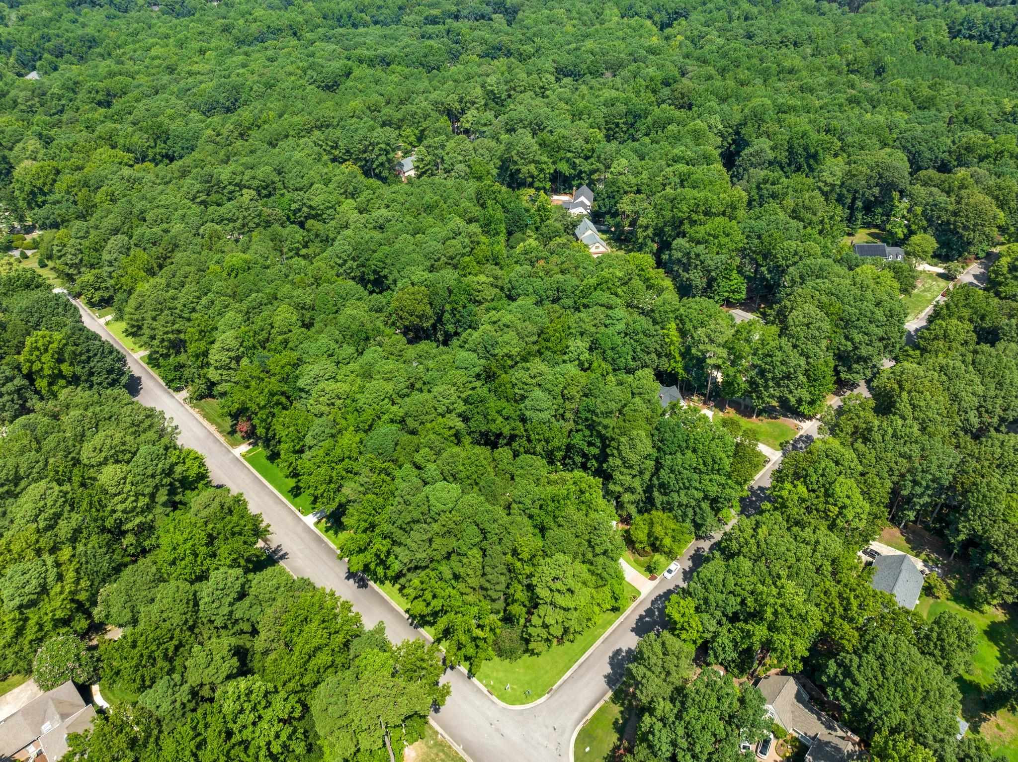 9301 Greenfield Drive Raleigh, NC 27615 - Photo 47 of 48 Aerial View of neighborhood. Neighborhood also has pool included in HOA. Aerial View