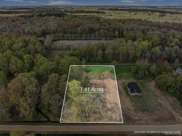$22,000 | 99 V/l Natures Nest Road, Vassar, MI 48768