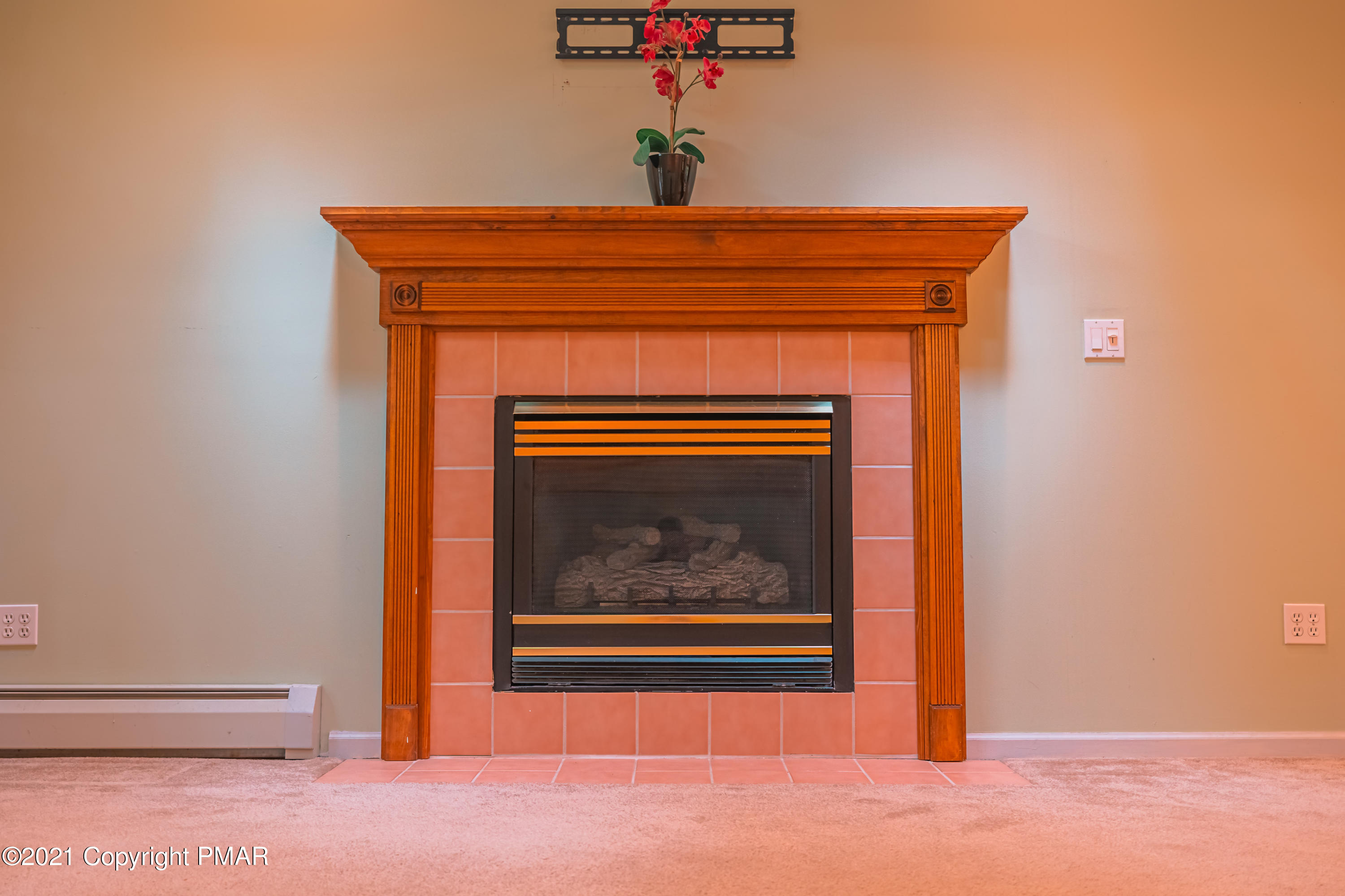119 Canterbury Road Bushkill, PA 18324 - Photo 5 of 55 gas fireplace