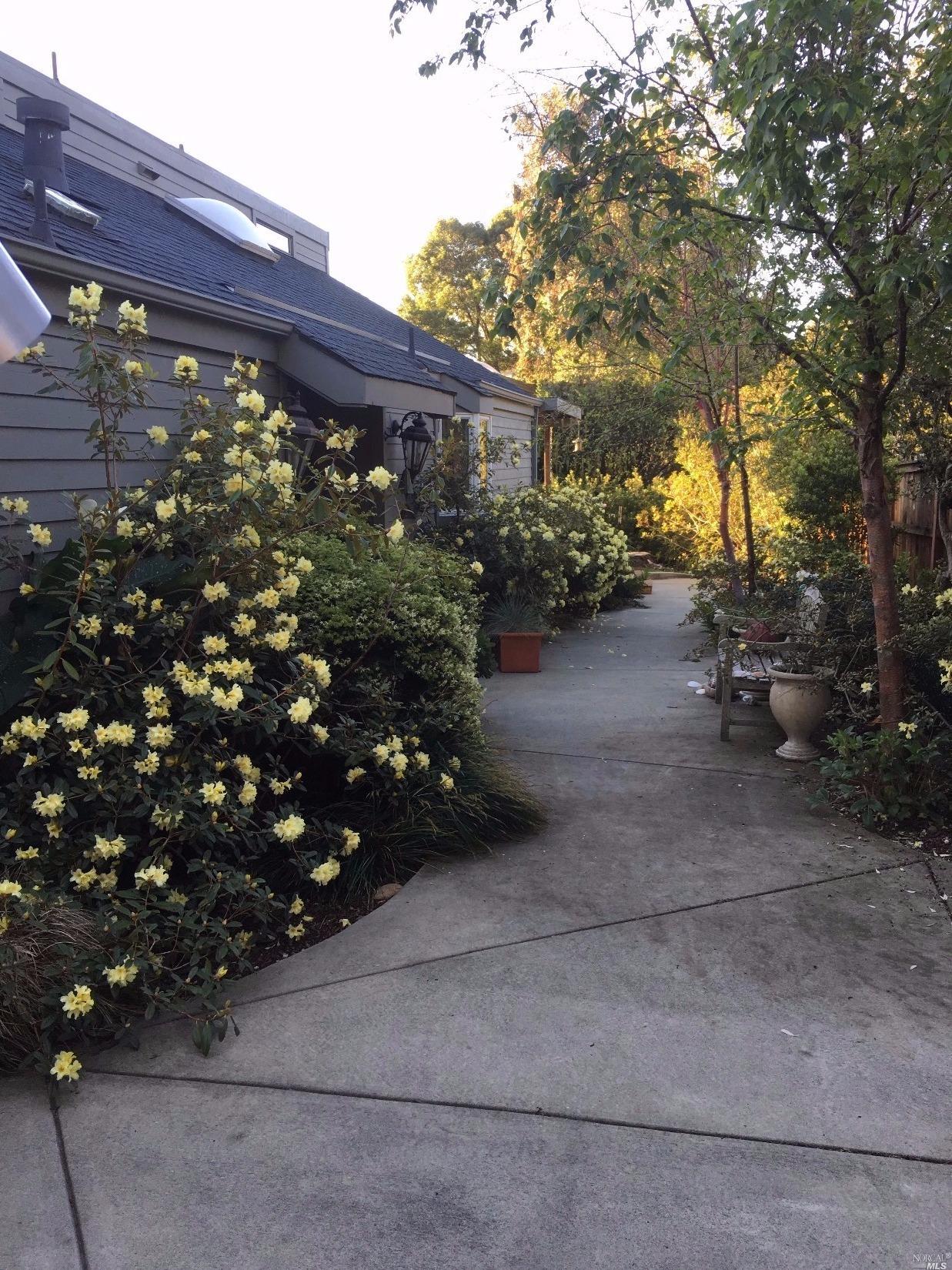 1043 Erica Road Mill Valley, CA 94941 - Photo 1 of 1 a backyard of a house with lots of green space