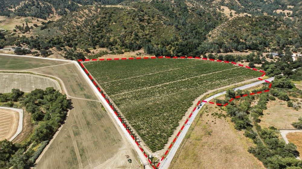 24.5-acres Cienega Road Paicines, CA 95043 - Photo 3 of 38