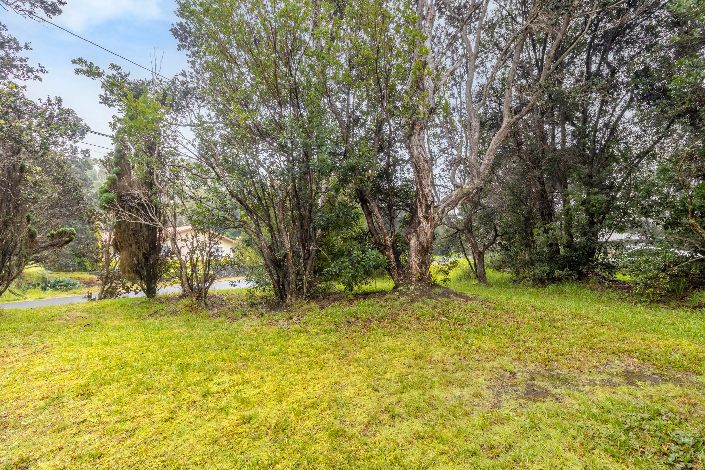 99-1752 Painiu Loop Volcano, HI 96785 - Photo 22 of 28