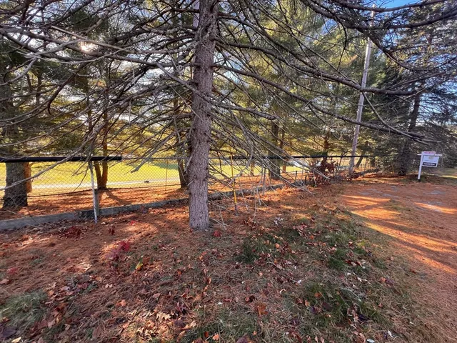 a view of dirt yard with a tree