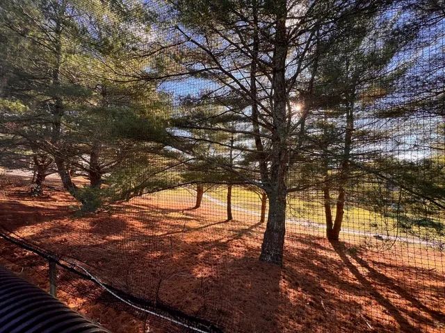 a view of a yard with wooden fence