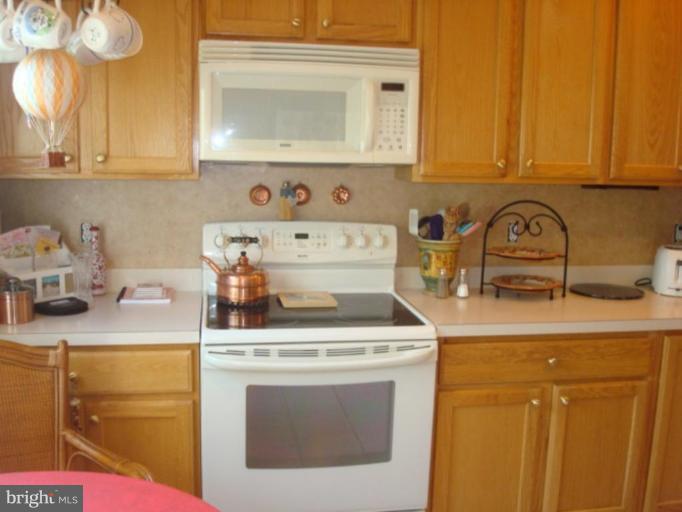 210 Blenny Lane, Unit 101 Chester, MD 21619 - Photo 20 of 30 Kitchen #2