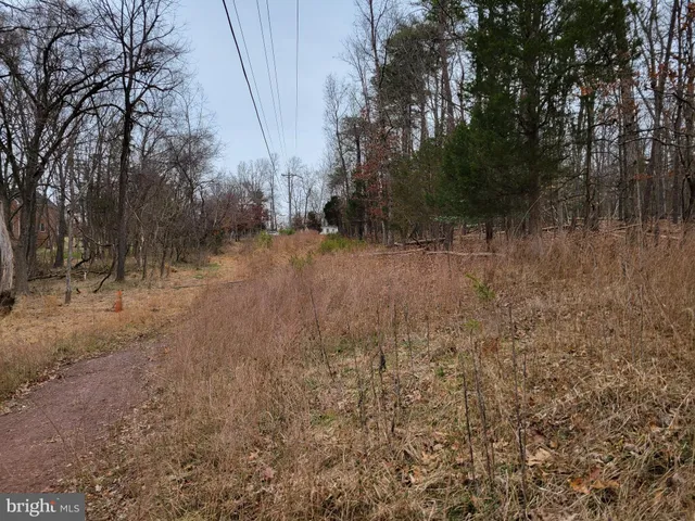 a view of a yard with trees