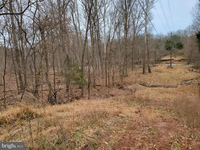 a view of a dry yard with trees