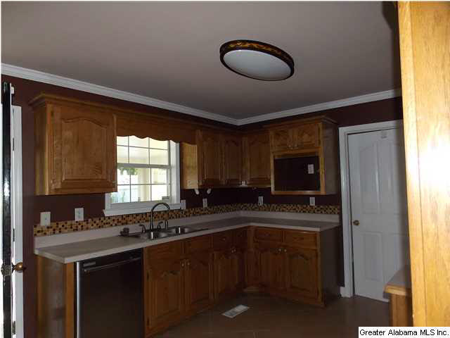 102 Drexel Drive Oneonta, AL 35121 - Photo 6 of 30