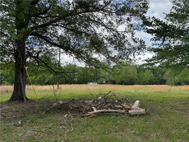 $110,500 | Tbd G P Barlow Sr Road, Amite, LA 70422