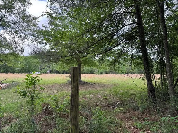 $110,500 | Tbd G P Barlow Sr Road, Amite, LA 70422