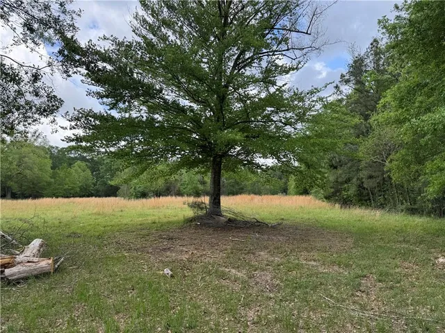 $110,500 | Tbd G P Barlow Sr Road, Amite, LA 70422