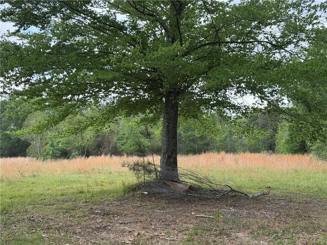 $110,500 | Tbd G P Barlow Sr Road, Amite, LA 70422