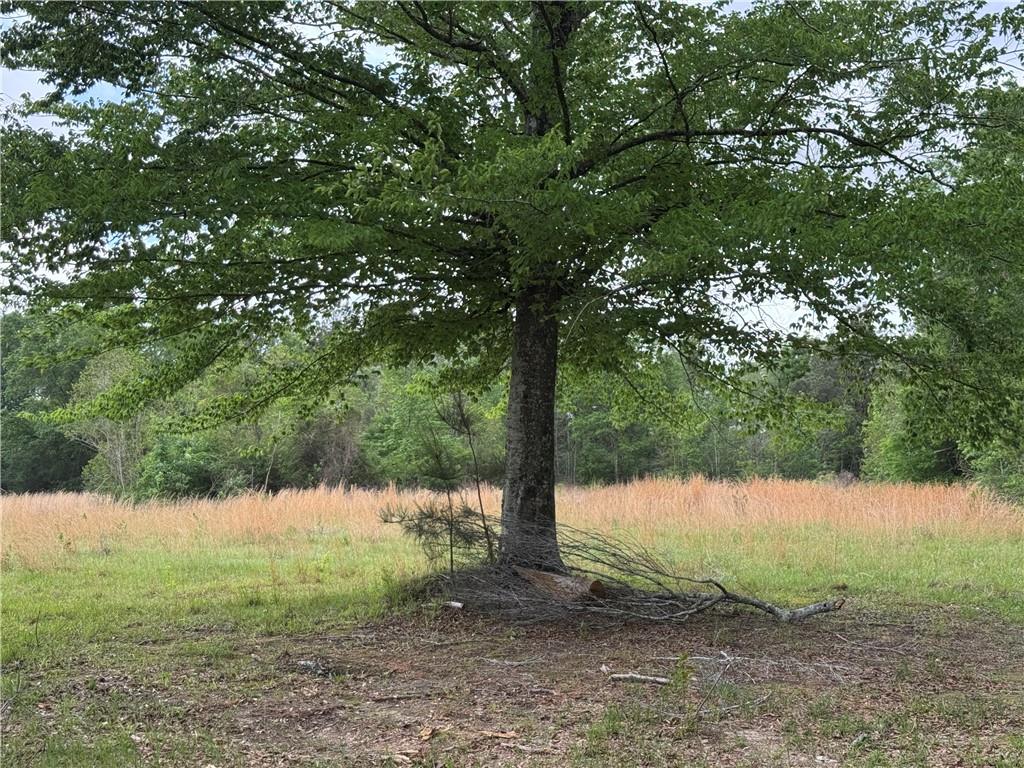 Tbd G P Barlow Sr Road Amite, LA 70422 - Photo 2 of 14