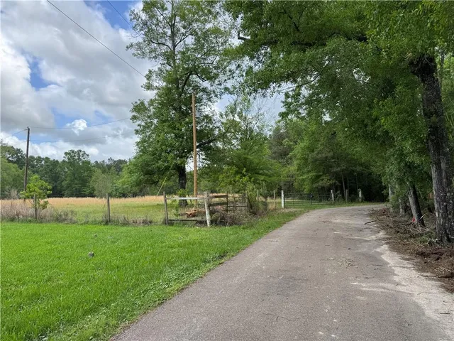 $110,500 | Tbd G P Barlow Sr Road, Amite, LA 70422