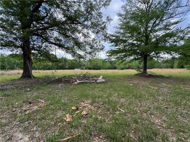 $110,500 | Tbd G P Barlow Sr Road, Amite, LA 70422