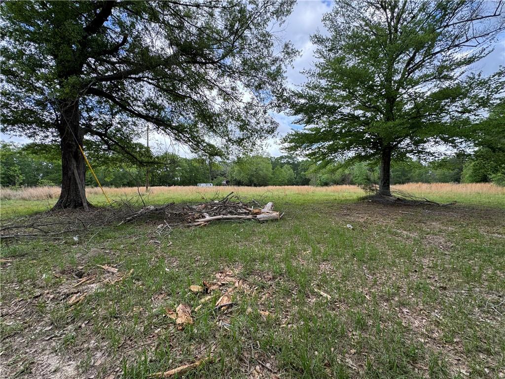 Tbd G P Barlow Sr Road Amite, LA 70422 - Photo 6 of 14