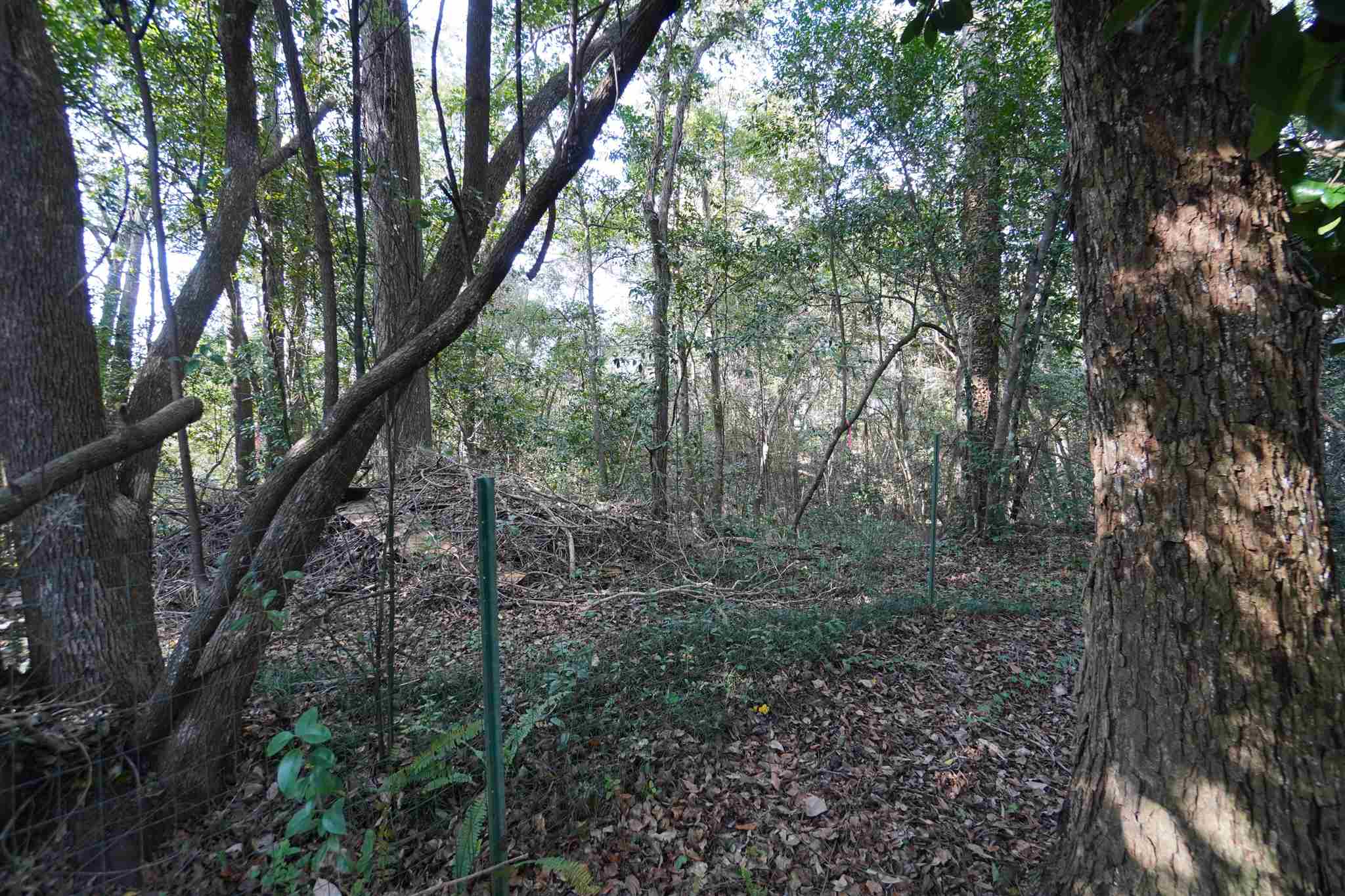 6872 Henderson Drive Bagdad, FL 32583 - Photo 26 of 44