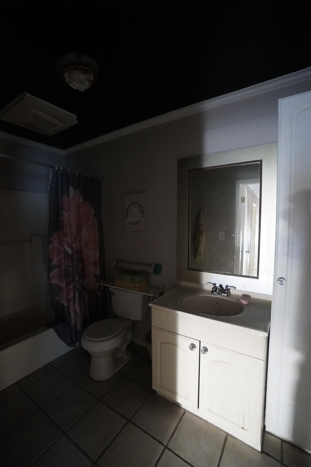 6872 Henderson Drive Bagdad, FL 32583 - Photo 36 of 44 Bathroom