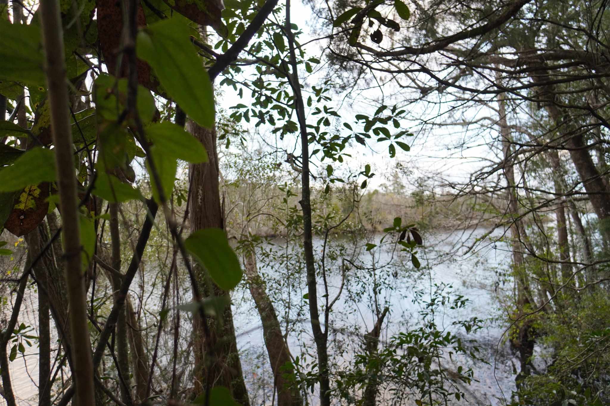 6872 Henderson Drive Bagdad, FL 32583 - Photo 42 of 44 Additional waterfront lot with 300 +/- linear fee