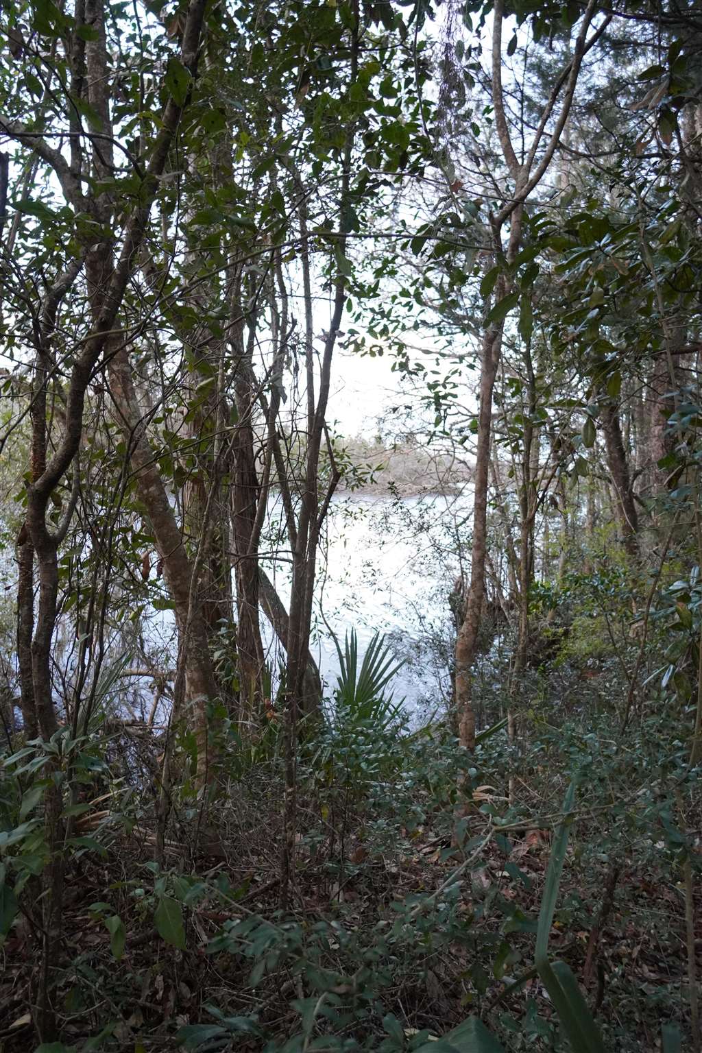 6872 Henderson Drive Bagdad, FL 32583 - Photo 43 of 44 Additional waterfront lot with 300 +/- linear fee