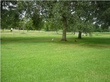 519 Simon Road Youngsville, LA 70592 - Photo 5 of 6 Additional Photo