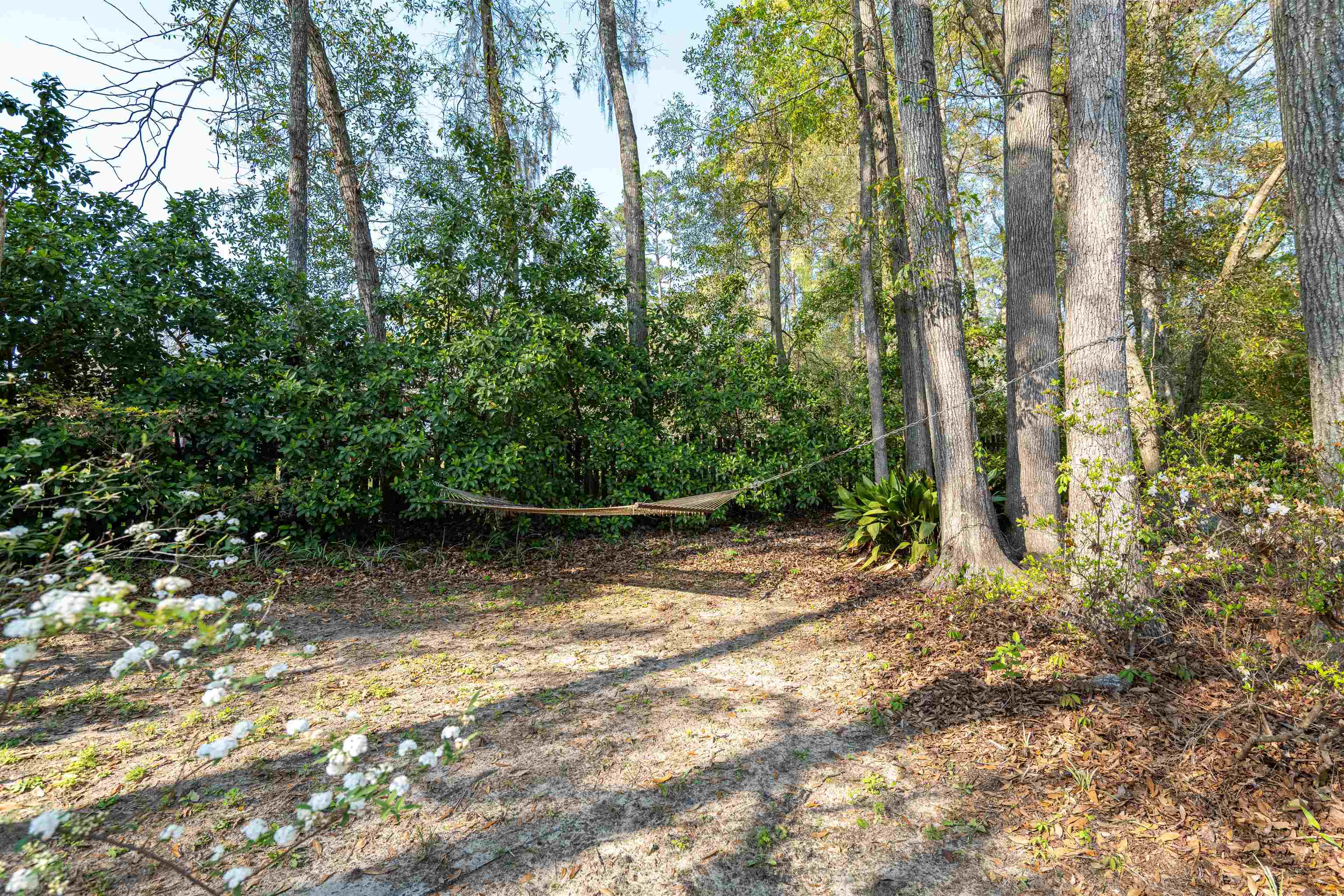 491 Frank Shaw Road Tallahassee, FL 32312 - Photo 52 of 52